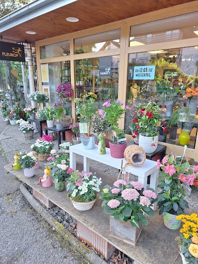 Blumen Strohmayer Margrit Strohmayer, Blumenladen in Müllheim