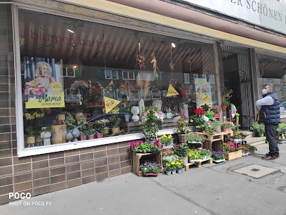 Blumen Bartsch, Blumenladen in Wuppertal