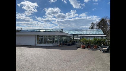 Gärtnerei Huber, Blumenladen in Lauchringen