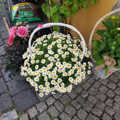 Blumenpavillon Leuna Heiterer Blick, Blumenladen in Leuna