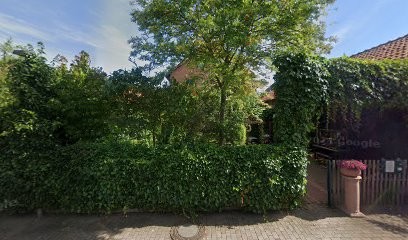 Blumen Böhm, Blumenladen in Giesen