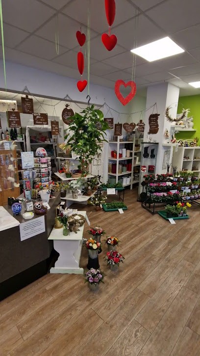 Blumen Passion - Blütenpracht am Rheinbogen, Blumenladen in Altlußheim