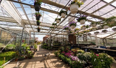 Lass-Schmidt, Blumenladen in Emsdetten