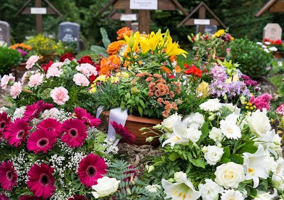 Friedhofsgärtnerei Hann. Münden, Blumenladen in Hannoversch Münden
