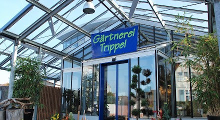 Gärtnerei Trippel, Blumenladen in Schaafheim