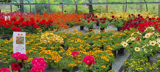 Der Bauerngarten | Blumen Celle, Blumenladen in Celle
