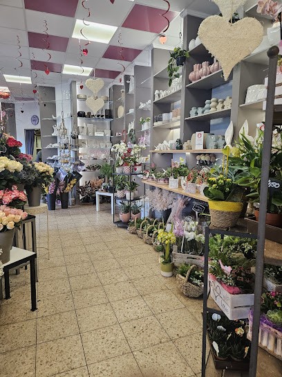 Floristik-studio, Blumenladen in Rinteln