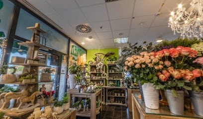 Blumen Schepper - Hemer, Blumenladen in Hemer