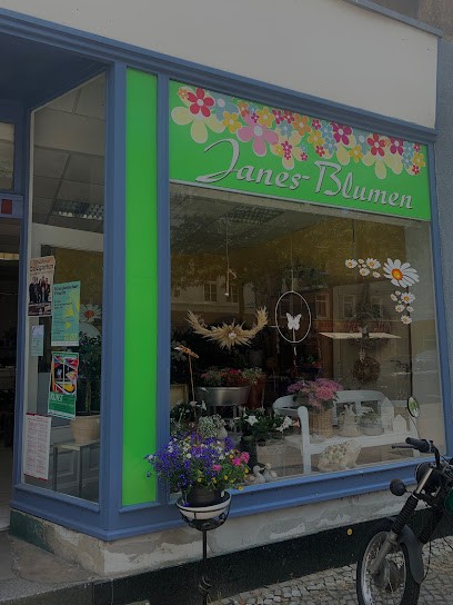 Janes Blumen, Blumenladen in Wittenberge