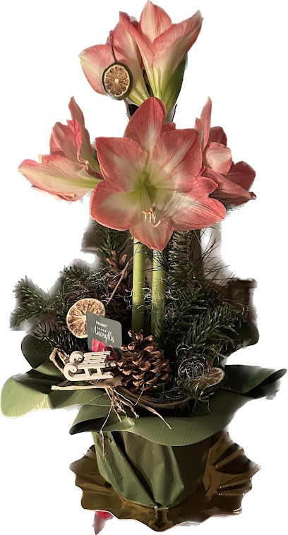 Blumengeschäft Freesia - Inh. Mandy Görsch, Blumenladen in Kreischa