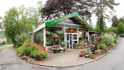 Sandras Blumenwelt Inh. Sandra Dörre, Blumenladen in Sondershausen