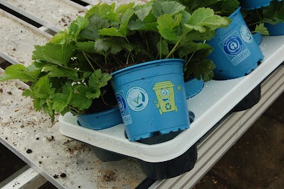 Blumen Liede, Blumenladen in Tecklenburg
