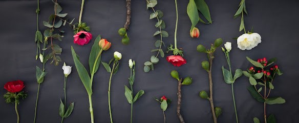 Blumenhaus Widmann, Blumenladen in Ellwangen