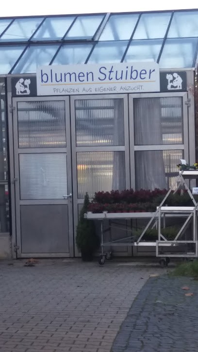 Blumen Stuiber, Blumenladen in Roding