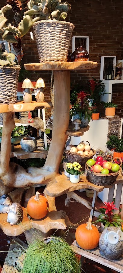 Natascha's Blumenparadies, Blumenladen in Gedern