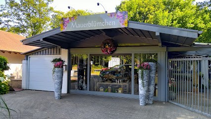 Mauerblümchen, Blumenladen in Ibbenbüren