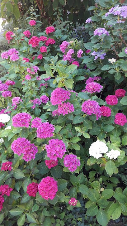 Annes Blumen, Blumenladen in Wolfschlugen
