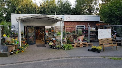Gärtnerei Finnenkötter, Blumenladen in Steinfurt