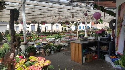 Blumenmarkt Daucher, Blumenladen in Fürth