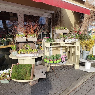 Blumen U. Ambiente Inh. Carola Keuneke Blumengeschäft, Blumenladen in Schenefeld