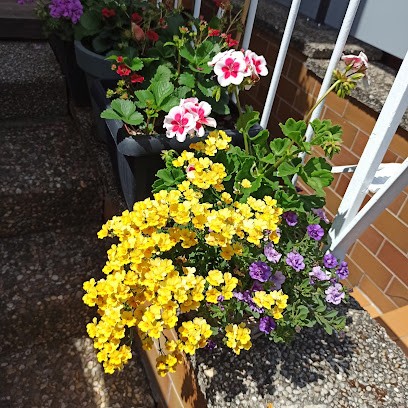 Herbert Härtlein Inh. Ulrich Härtlein Gärtnerei, Blumenladen in Markt Erlbach