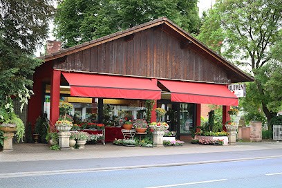 Blumen Gonder, Blumenladen in Bensheim