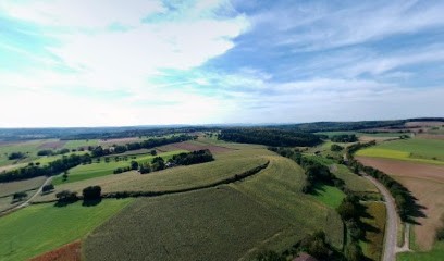 Flic Flac Flower, Blumenladen in Gondelsheim