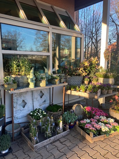 Blumen Im Wachhaus Ute Waldmann, Blumenladen in Horb am Neckar