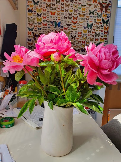 Holland Blumen, Blumenladen in Northeim