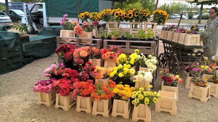 Rosenhof Ober, Blumenladen in Pirna