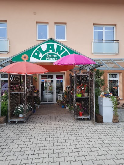 Blumen Plank, Blumenladen in Triftern