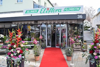 Eliflora Blumen & Floristik E.K., Blumenladen in Schwabmünchen