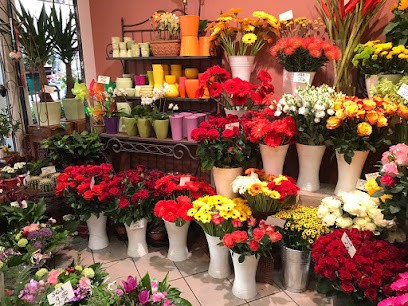 Desiree Blumen, Blumenladen in Köln