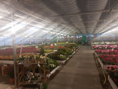 Gärtnerei Wilhelm Blume, Blumenladen in Wennigsen