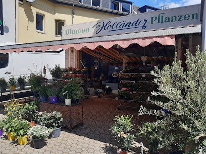 Blumen Der Holländer Pflanzen, Blumenladen in Hürth