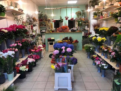 B3 Blumen Und Pflanzen, Blumenladen in Wandlitz