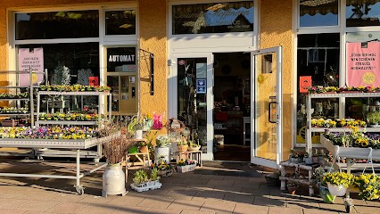 Blumen Hoffmann, Blumenladen in Löwenberger Land