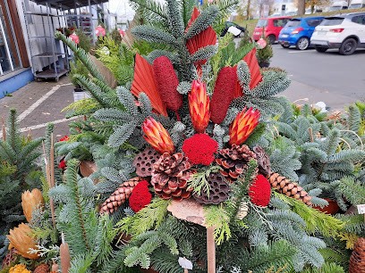 A.B. Florist Aktuell Inh. Günter Klement, Blumenladen in Weilburg