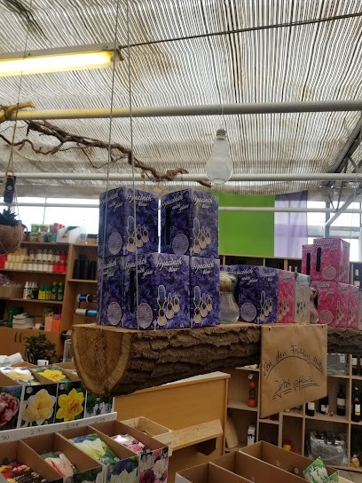 Blumen Und Pflanzen Diekmann, Blumenladen in Löningen