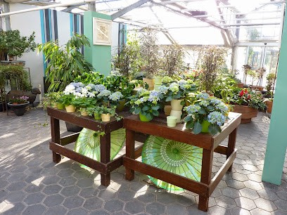 Gärtnerei Austermann, Blumenladen in Rietberg