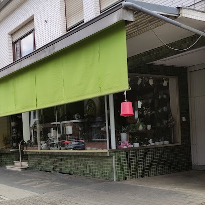 Blumenfachgeschäft Pütz-Kurth, Blumenladen in Niederkassel