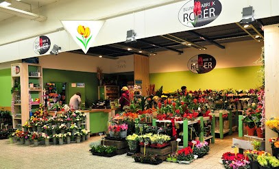 Blumen Robér, Blumenladen in Roggentin
