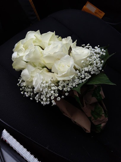 Blumen Möller Inh. L. Möller, Blumenladen in Schleswig