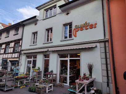 Blumen Peter Inh. Jürgen Datz, Blumenladen in Radolfzell