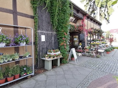 Gärtnerei Heinrich, Blumenladen in Storkow