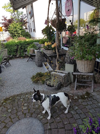Trendfloristik, Blumenladen in Viernheim