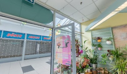 Blumeninsel Perner, Blumenladen in Greifswald