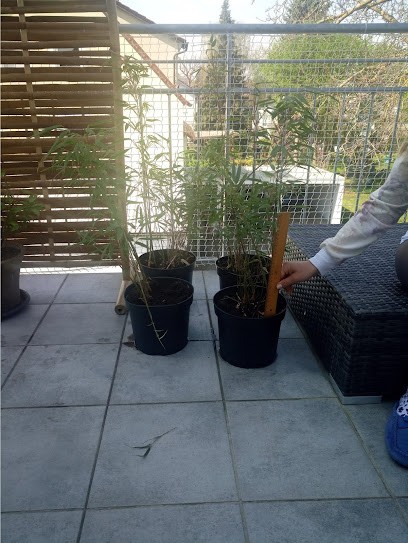 Interplant Blumen- + Pflanzenhandel GmbH, Blumenladen in Lossatal