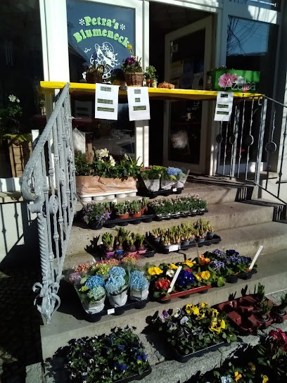 Blumenhaus Petra Pratsch, Blumenladen in Schlieben