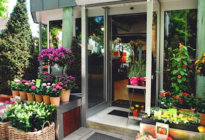 Blumenhaus am Hochweg, Blumenladen in Regensburg